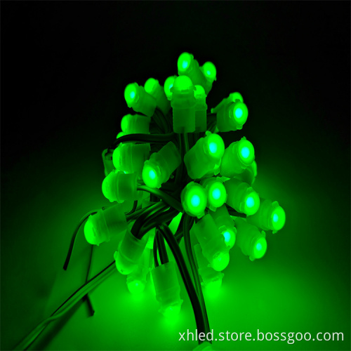 Factory Direct DC12V 9mm IP67 Waterproof LED Pixel Lights for Signboards and Christmas Tree Lighting